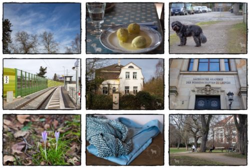 Wochenrückblick in Bilder