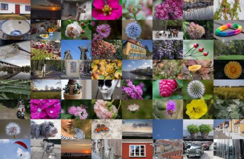 Bunt ist die Welt…