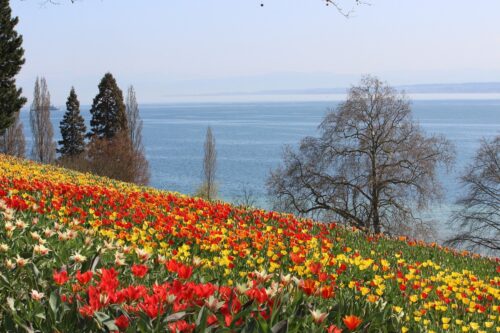 Insel Mainau