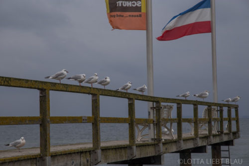 Herbstliches Meer