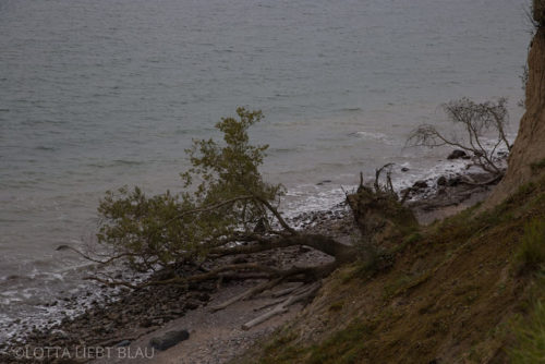 Am Meer entlang…