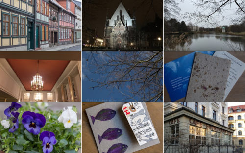 Wochenrückblick in Bildern