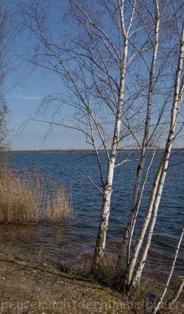 Cospudener See