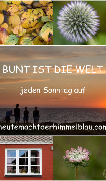 Logo Bunt ist die Welt