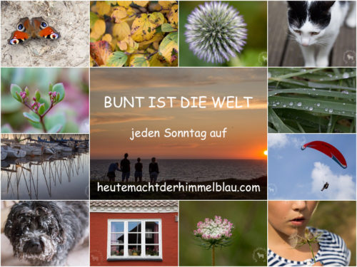 Logo Bunt ist die Welt