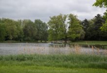 Wörlitzer Park