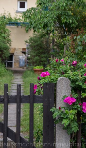 Gartenansicht