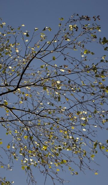 Abschied