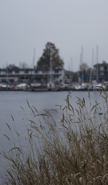 November