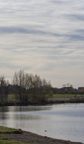 Cospudener See