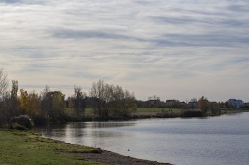 Cospudener See