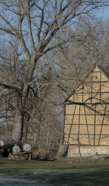 Labdluft