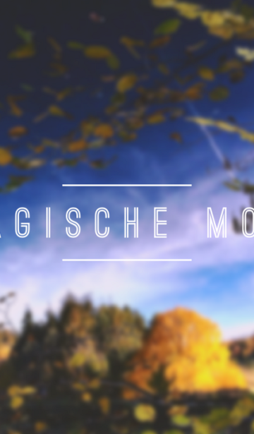 Bloggerprojekt
