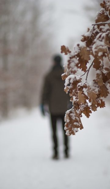 Winterblues