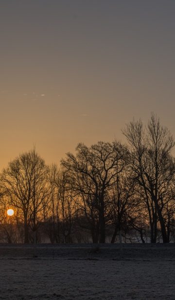 Dämmerung