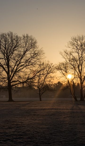 Wintermorgensonne