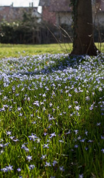 Frühling