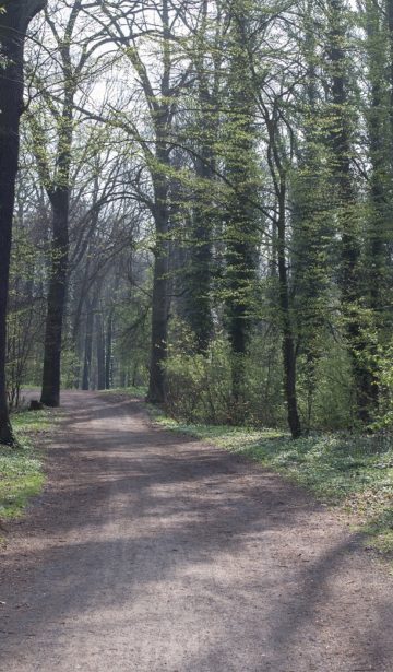 Wege