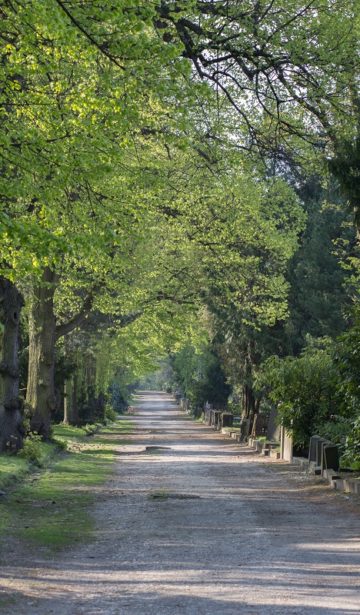 Südfriedhof