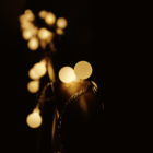 Licht