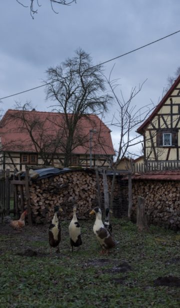 Dorf