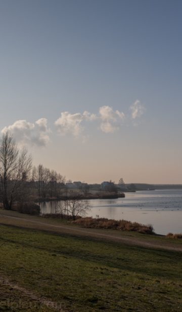 Januarsonne