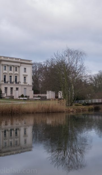 Januarblick