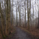 Wege im Winter