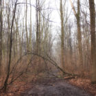 Wege im Winter