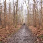 Wege im Winter