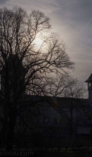 Licht