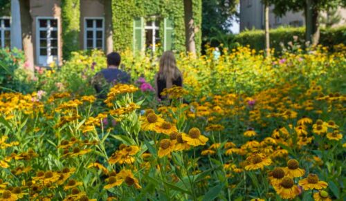Monatsrückblick im August
