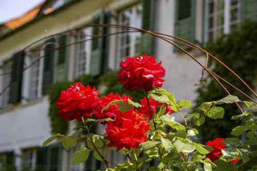 Auf den Spuren des Architekten Riemerschmid
