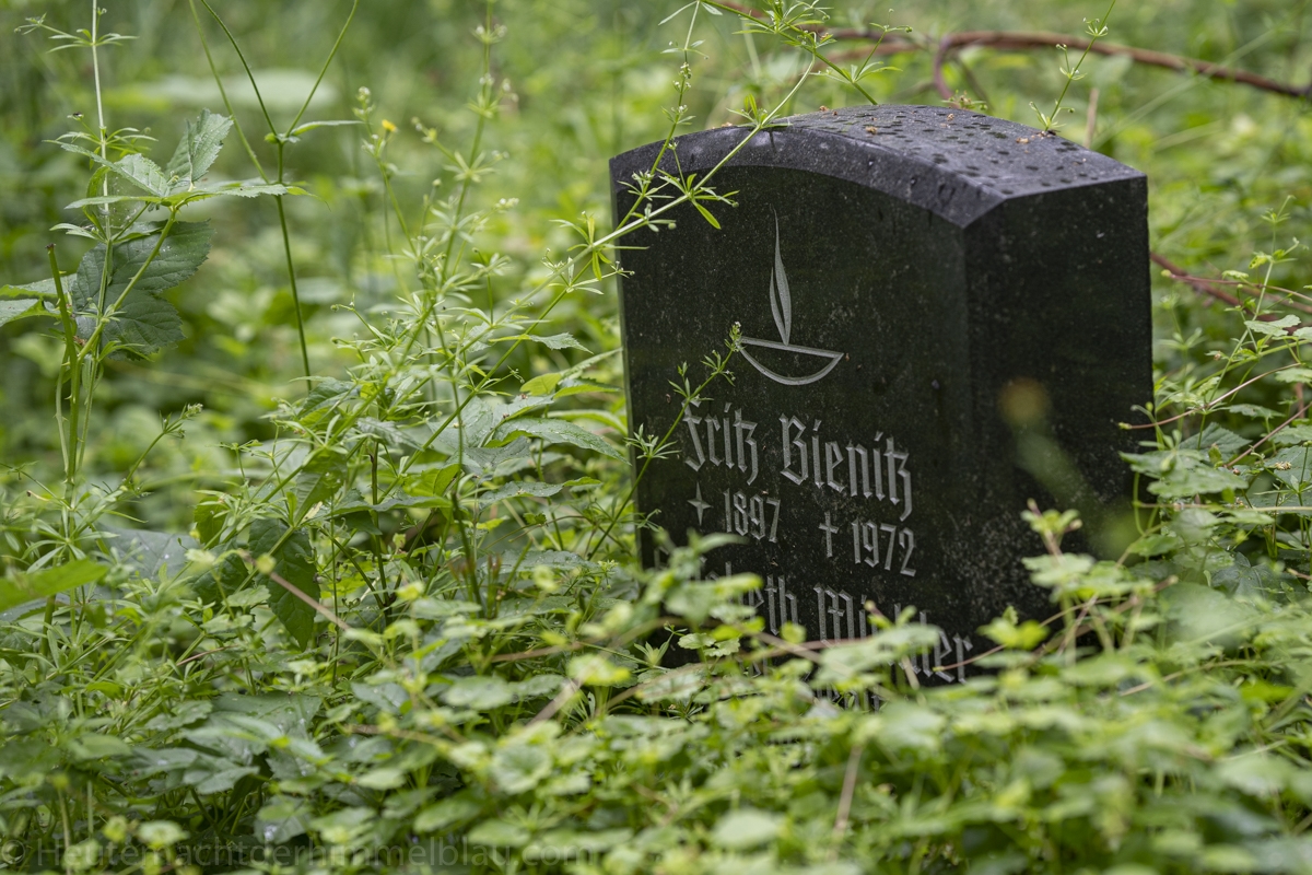 Alter Friedhof Dölitz