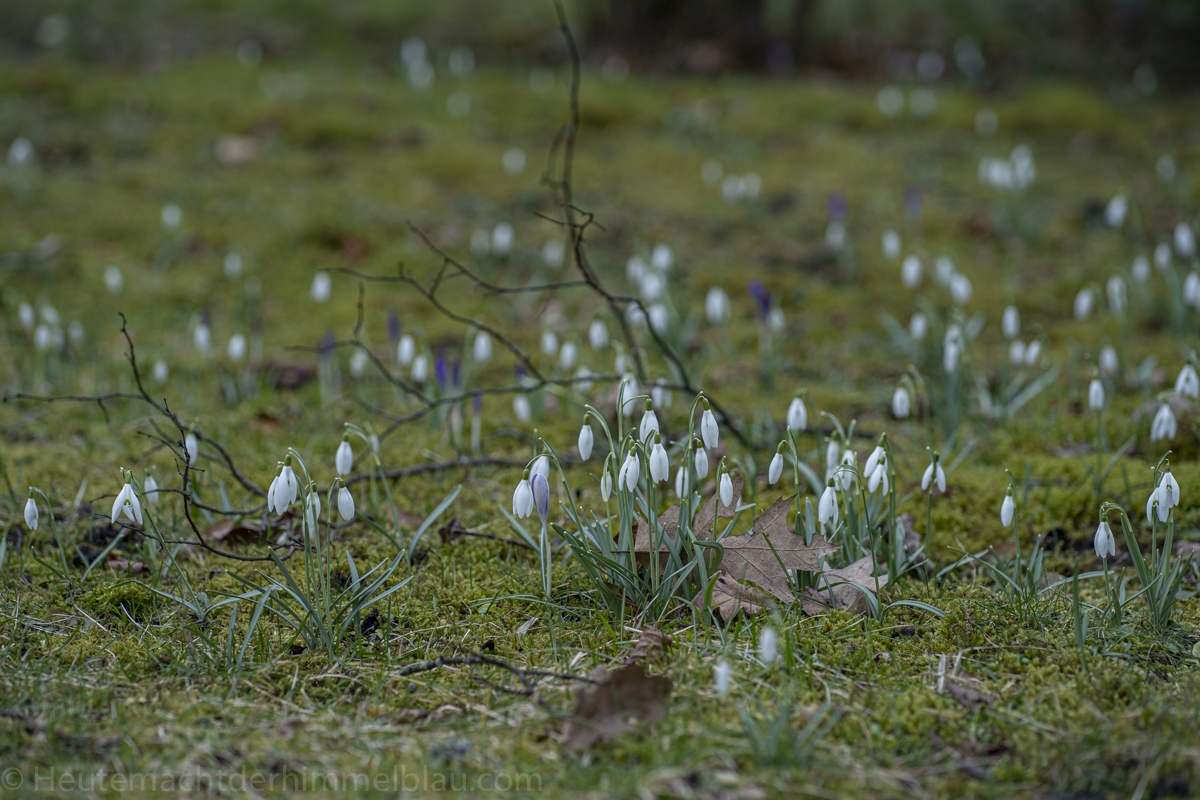 Februar