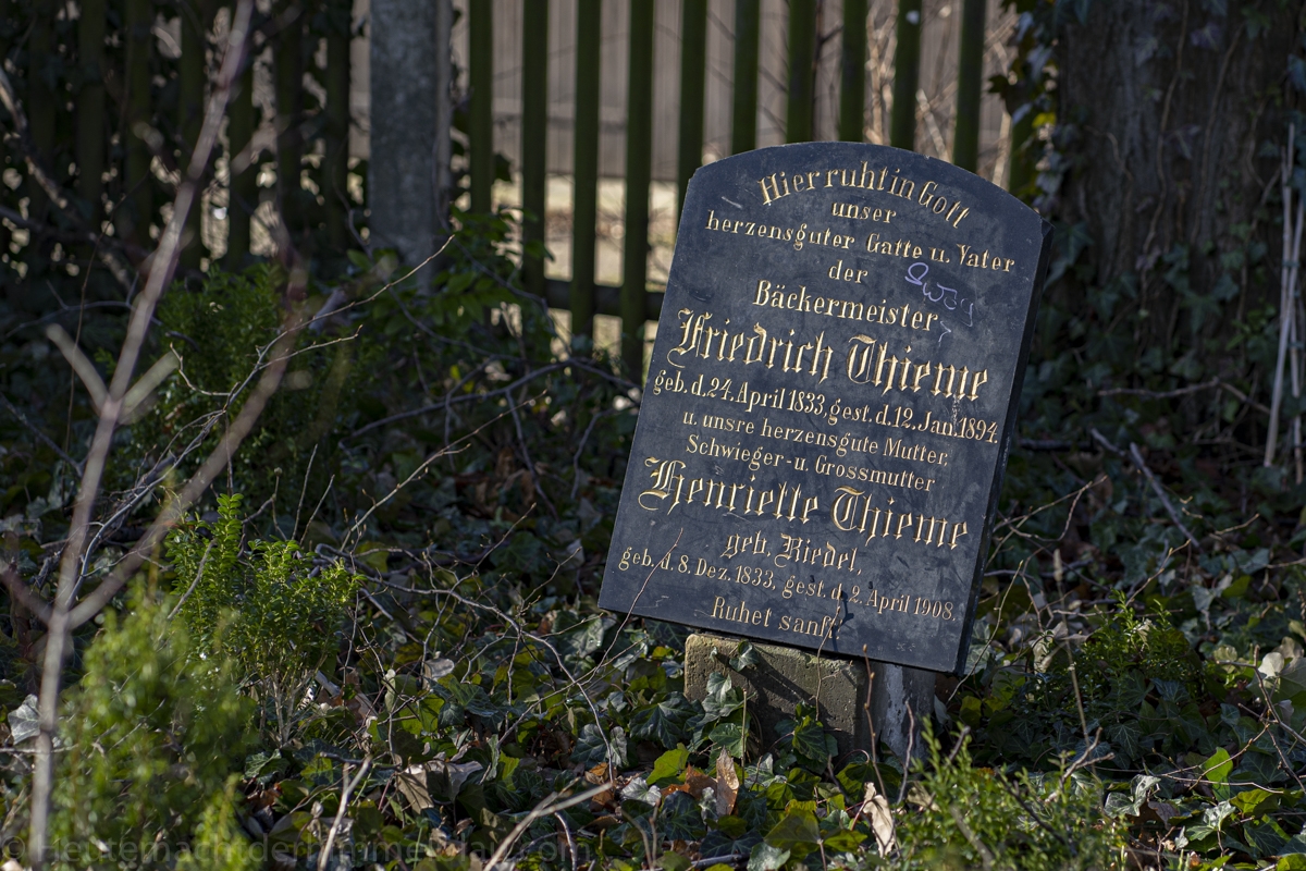 Friedhof Lößnig