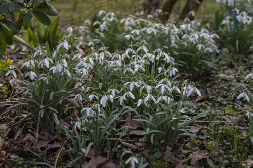 Februar