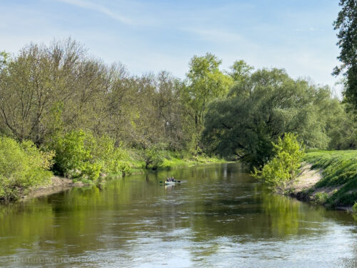 Naumburger Blütengrund