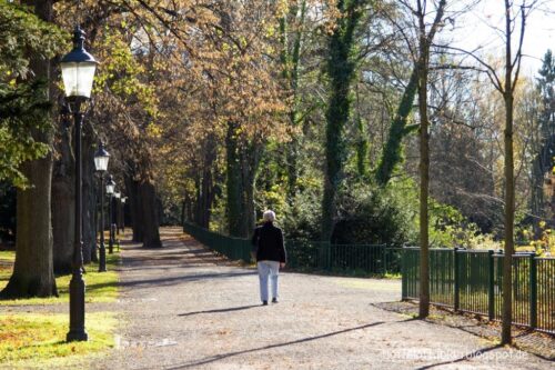 Albertpark in Freiberg