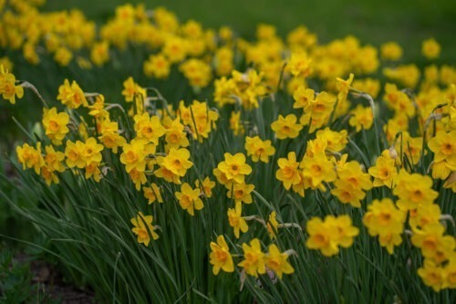 Monatsrückblick April