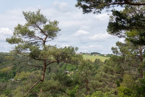 Jenaer Rundwanderweg 3