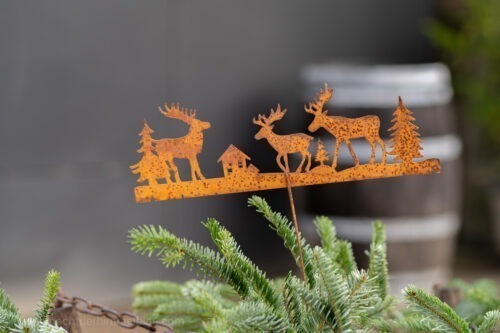 Ein weihnachtlicher Spaziergang durch Pirna