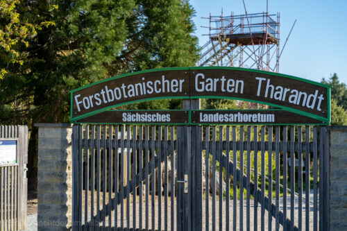 Der Forstbotanische Garten in Tharandt