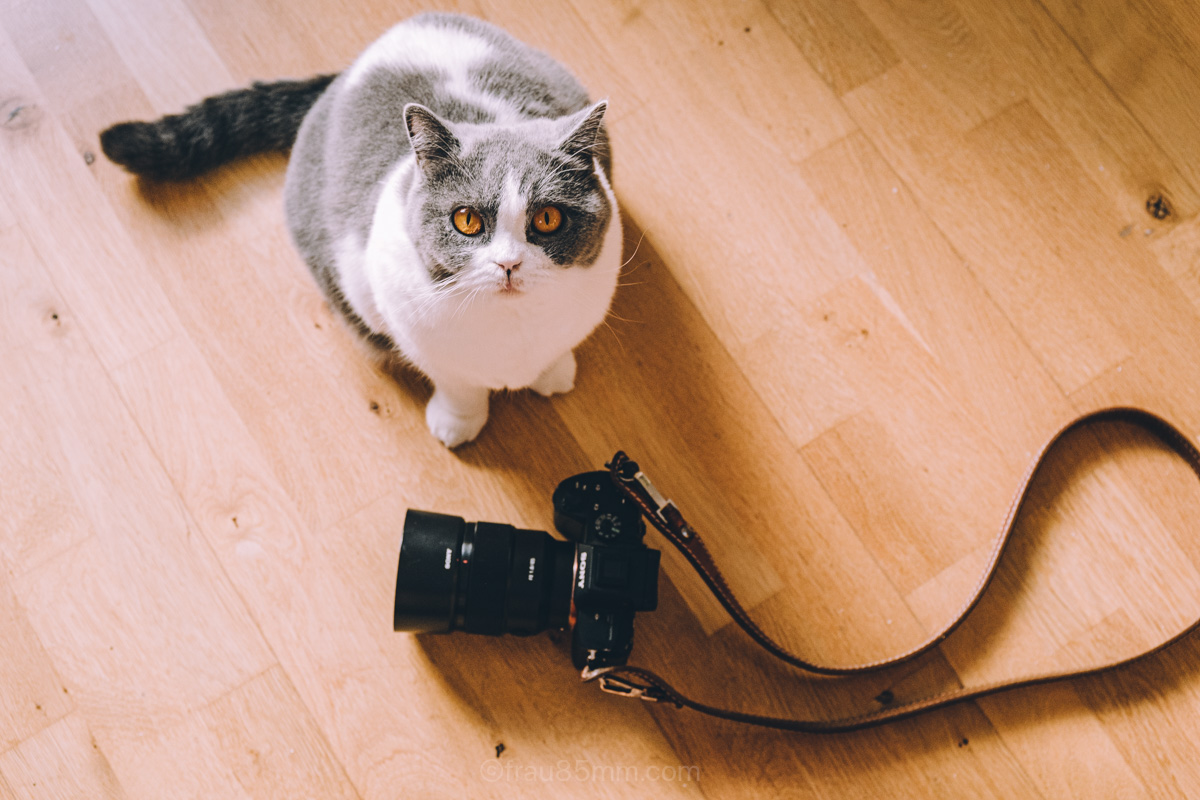 Frau 85 mm